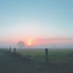 misty landscape