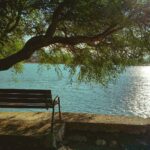 bench with view on sea