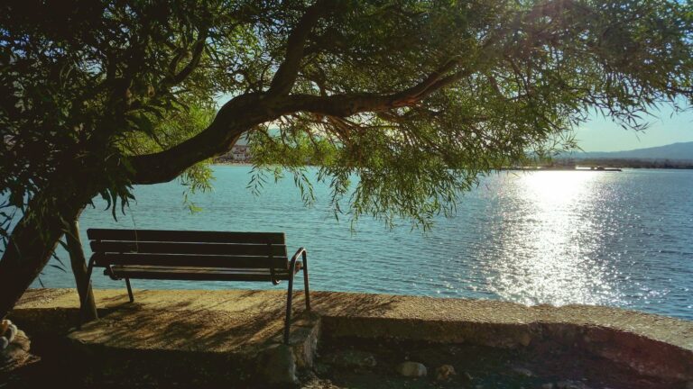 bench with view on sea